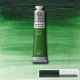 WINTON  TERRE VERTE
